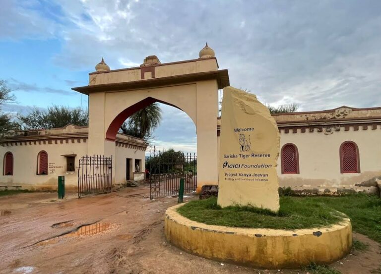 Sariska